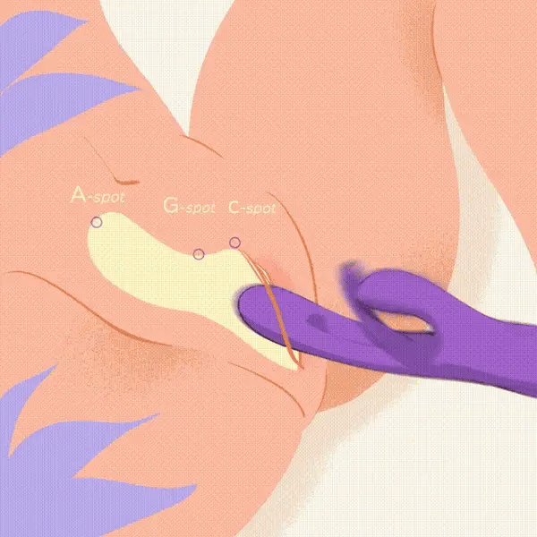 Bora -Rabbit Tapping G-spot Vibrator